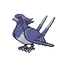 Shadow Swellow